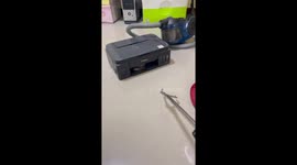Sinister baby cobra caught hiding inside Canon printer