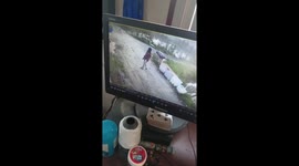 Energetic pet dog knocks over woman outside home