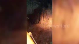 India: Sub-adult elephant successfully rescued and reunited with herd