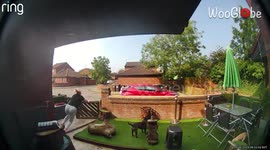 Hilarious moment woman stumbles at front door, pets spring into action