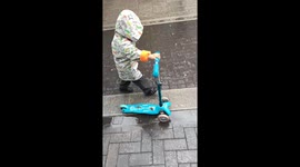 Snails find a free joy ride on a little boy's scotty