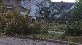 Severe Thunderstorm Impacts Albany