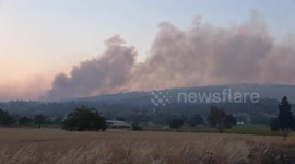 Forest fire in western Türkiye contained: minister