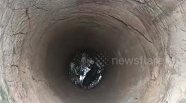 Cow rescued from 100-foot deep well filled with toxic gas in Central India