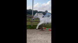 Pony takes a snack break during a little girl's first bareback jumping experience