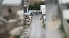 Gaza: IDF Conducts Arrest Campaign in the West Bank