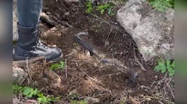 Spain: Italian Mafia Lieutenant Arrested in Granada for Involvement in Murder