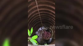 Young woman successfully rescued after falling into well in southern India