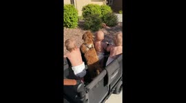 Kids and dog stroller adventure
