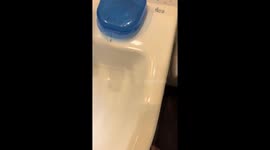 Ant-infested retainers shock Seville resident