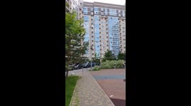 Man rescues crow stuck in Moscow pole
