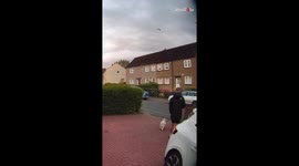 Battling the birds: Young boy struggles against aggressive seagulls