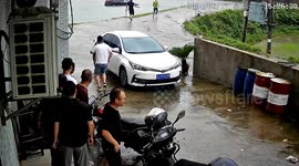 Chinese man leaps into water to save driver trapped in sinking car