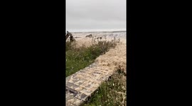 Sea Foam Overtakes Beresford Beach