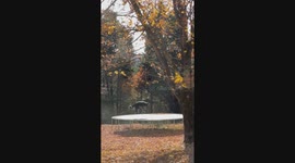 Dog Enjoys Autumnal Trampoline Bounces