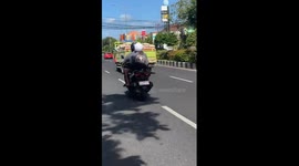 Cool Dog Wears Sunglasses On Motor Scooter