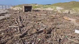 Debris in Padre Island