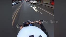 Pet parrot provides air escort for food delivery driver