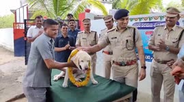 Hardened sniffer dog honoured in India as she retires after 12 years of service