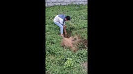 Couple rescues elderly man trapped in pit in northern China