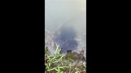 School of baby snakehead fish appear at riverbank in China