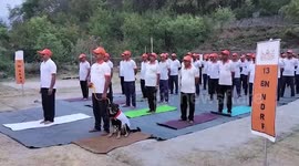 India: Pariah dog joins yoga event to raise awareness in northern India