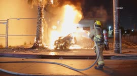 US: Downtown Los Angeles Driver Survives Fiery Crash Into Palm Tree