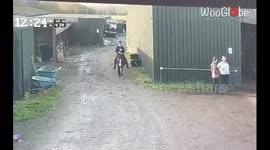 Poor pony gets scared and throws off rider without wasting a second