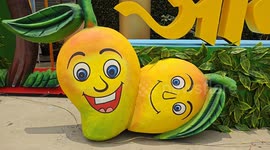 Under the aegis of Bihar Agriculture Department , State Level Mango Festival in Northern India