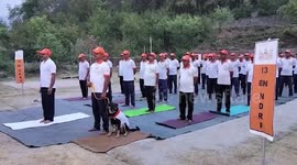 Indian Pariah dog joins yoga event to raise awareness in northern India