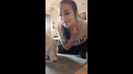 Guessing game with adorable doggo is too sweet not to watch
