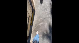 Man trying to start a fight gets humbled by his loose pants and random stranger