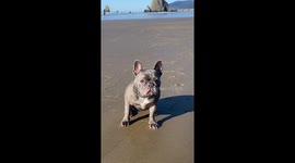 #lulucannonbeach