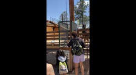 Clever Goat Wheels Up Treats