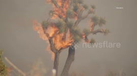 US: Palmdale Vegetation Fire
