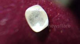 Farmer discovers 6.65 carat diamond in central India, fortune shines bright