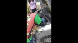 Stray cat stuck in car engine helped to safety by driver