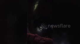 India: Buffalo rescued from 30-foot well by district administration