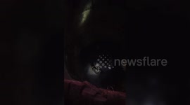 India: Buffalo rescued from 30-foot well by district administration