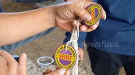 Indonesia: An officer gives a healthy mark during an animal inspection ahead of the Muslim festival of Eid al-Adha