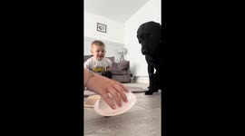 Dog's treat test fail: Buddy's hilarious change of heart!