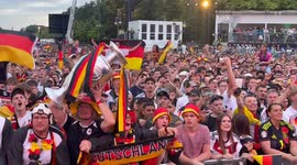 Palestine protesters pictured in the Berlin Fanzone