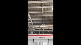 Commuters stunned as monkey invades monorail station in Bangkok