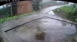 Pet dog chases water bowl being blown away by wind