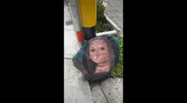 Mona Lisa rocks? TikToker mocks Medellín's street art attempt ranking over 2 million views