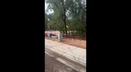 Flash Floods Cause Extensive Damage in Moab, Utah