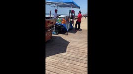 Squirrel Enjoys Orange At Cantaritos Stand