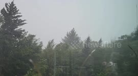 Lightning Strikes Tree During Thunderstorm