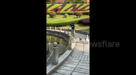 China: Chased By Geese at the University Lake