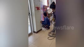 Workers extract kitten stuck inside wall